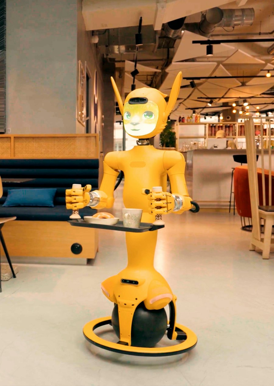 Service robot
